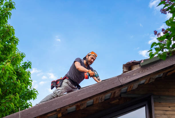 Reliable Indian Head Park, IL Roofing services Solutions