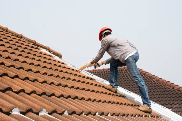 Best Skylight Installation and Repair  in Indian Head Park, IL